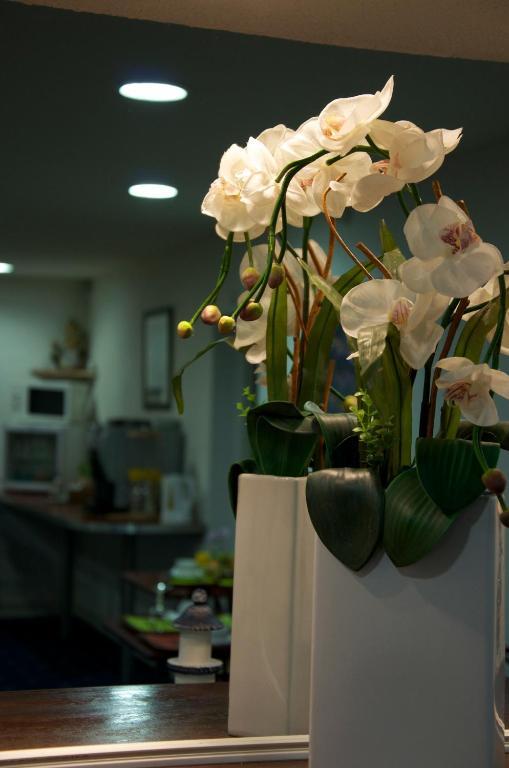 Hotel Aer Vieille-Toulouse Екстериор снимка